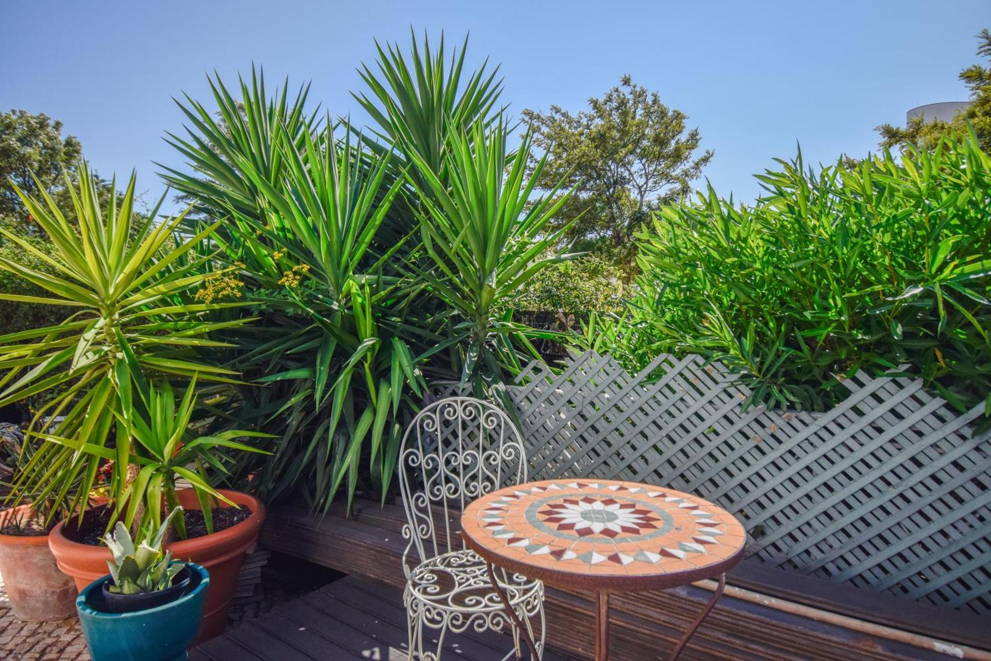 Estoril Prime Stay Zewnętrze zdjęcie